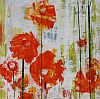 Poppy, by Noma Bliss
