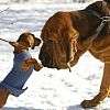 Small is a Weapon, Not an Excuse