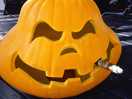 ashton-cigar-pumpkin