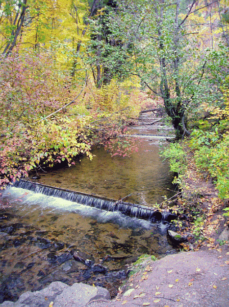 hardy-falls