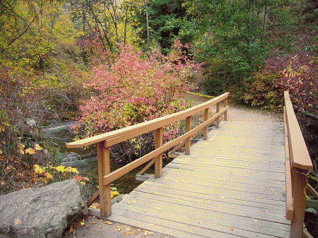 hardy-falls-bridge