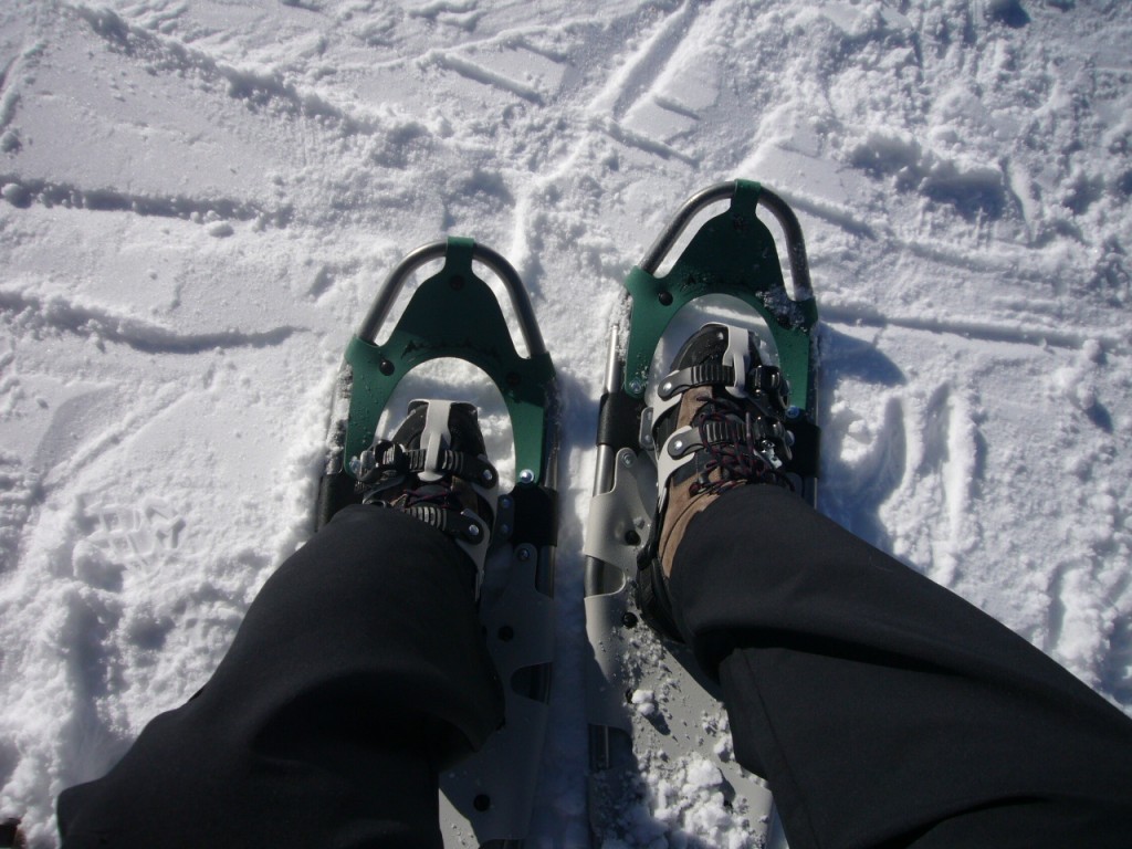The new showshoes - great for deeper snow, but still very light